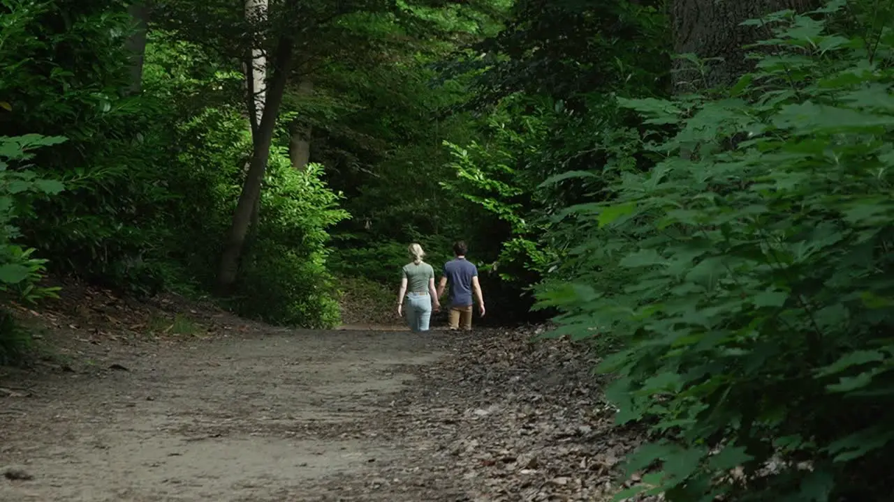 Couple walking hand in hand in the forest