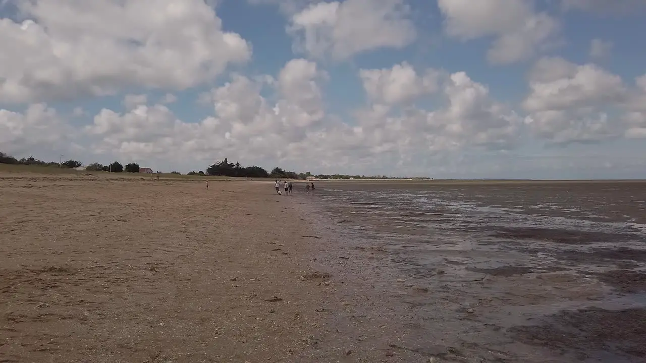 Pealple walking near the beach of the Moeze Oleron Nature Reserve island of Oleron