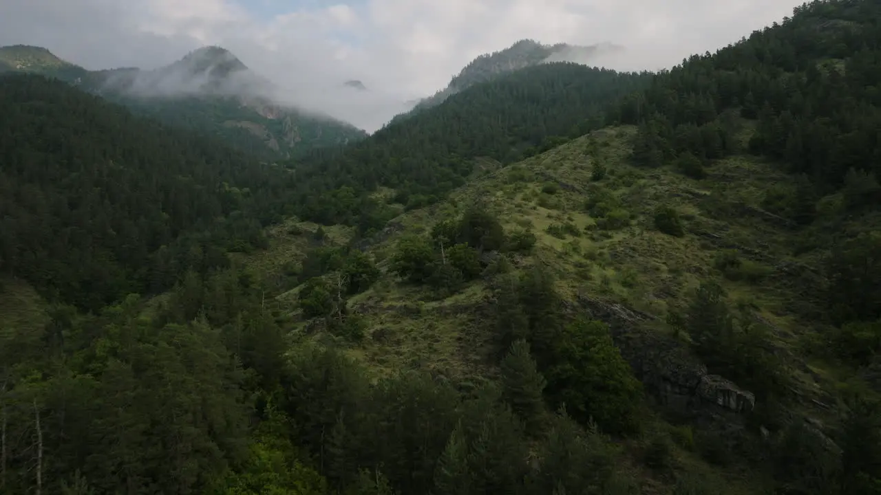 Flight On Conifer Woods And Mountains In Borjomi Nature Reserve Georgia