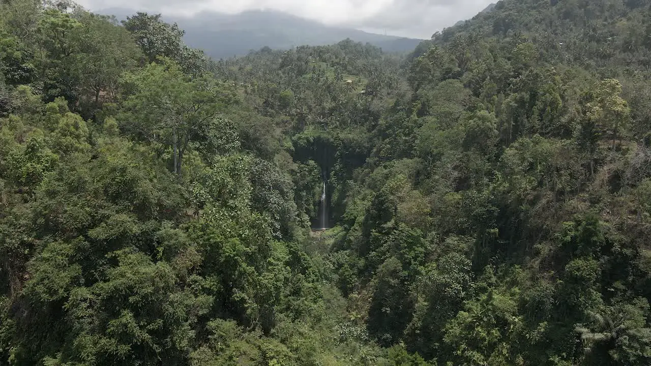 Aerial flyover lush dense jungle toward Sekumpul waterfall on Bali