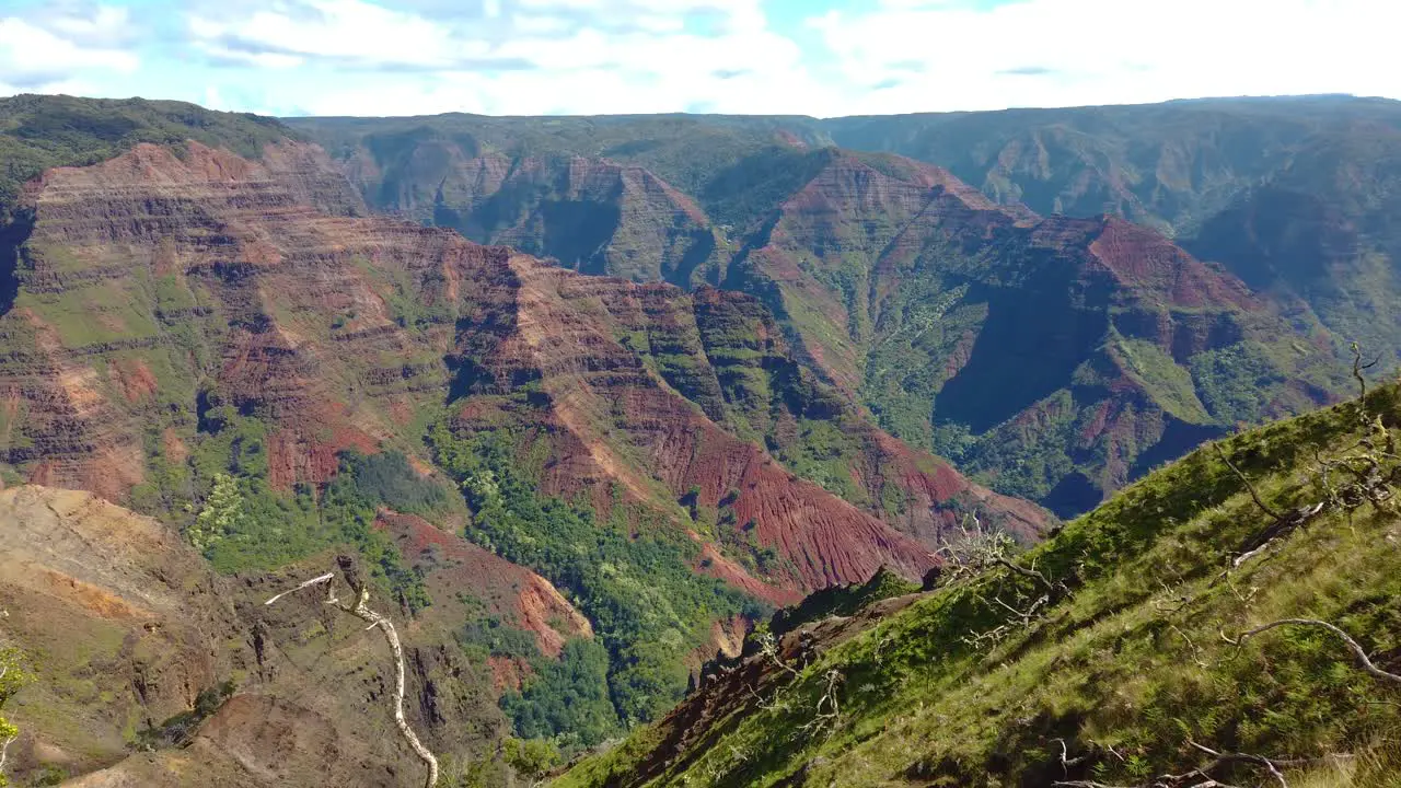 4K Hawaii Kauai pan right to left of Waimea Canyon ending with branch and greenery in foreground and waterfall in far distance and partly cloudy sky