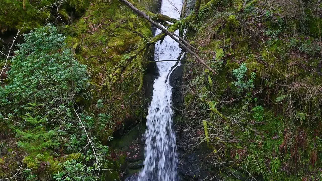 Waterfall within Lake Vyrnwy Wales United Kingdom