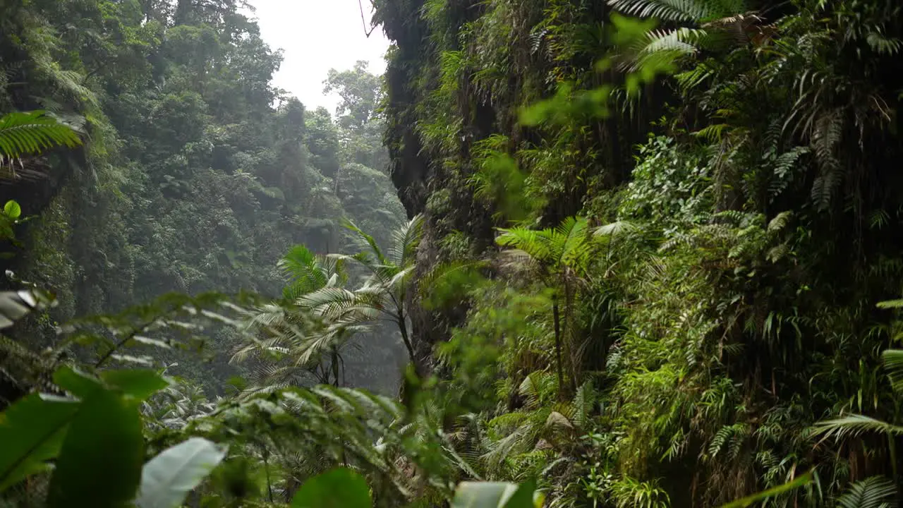 costa rica rainforest next to mountains and rocks