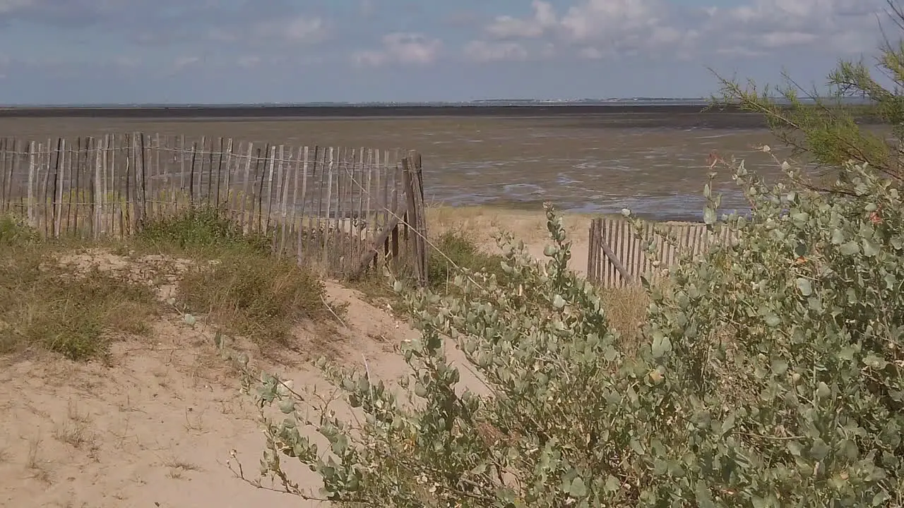 View from the beach of the Moeze Oleron Nature Reserve island of Oleron