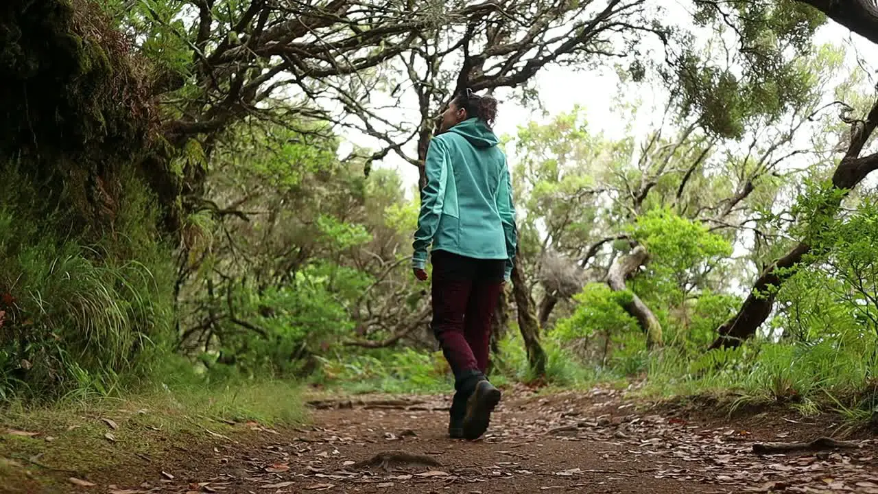 medium shot of young woman admires the beauty of the forest while walking