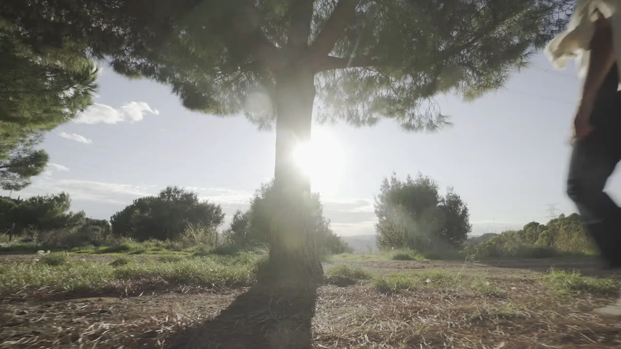 Woman detoxing in nature spiritually under sunlight gimbal shot