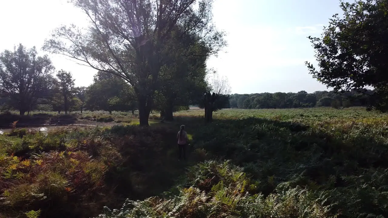 Drone capture a young woman running beside a lake in the park on a sunny day