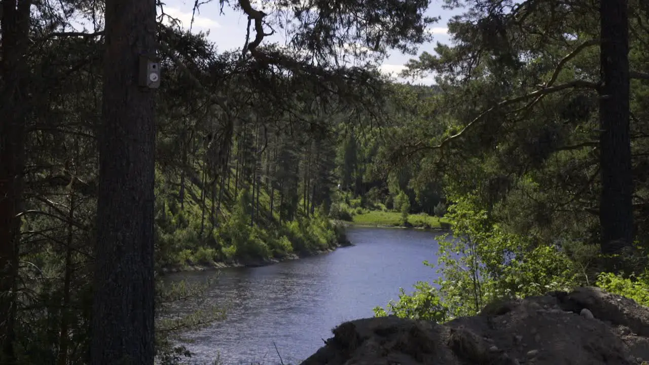 A quiet and calm river flows through a nordic forest