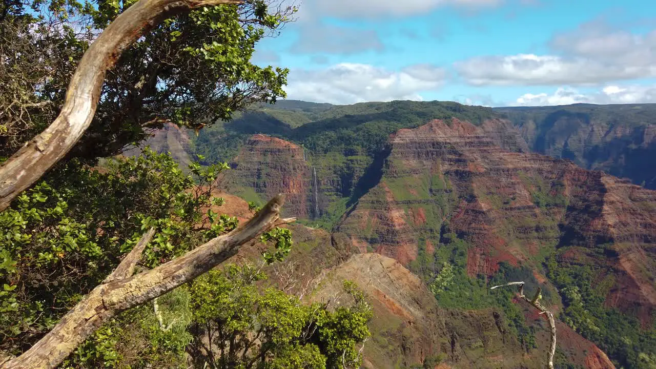 4K Hawaii Kauai boom up branches with waterfall and Waimea Canyon in distance ending with branch along top of frame under partly cloudy sky