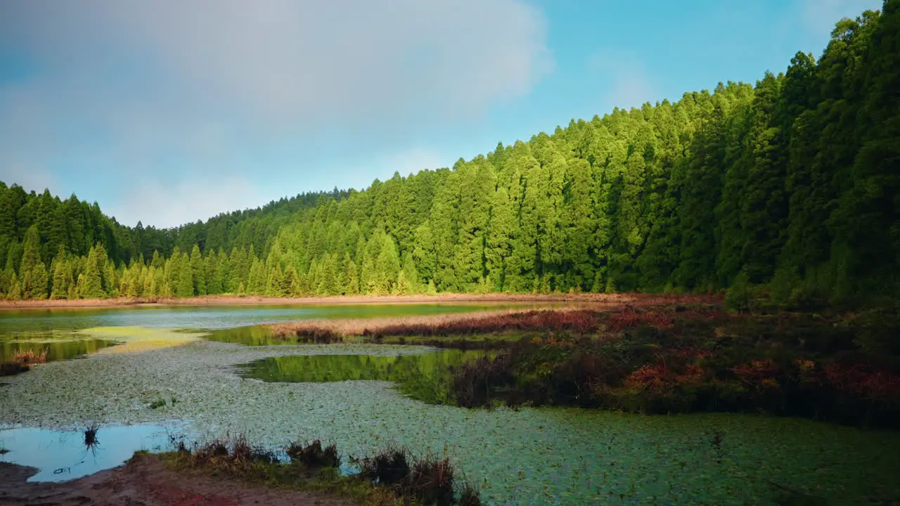 Mountain lake surrounded by green high pines