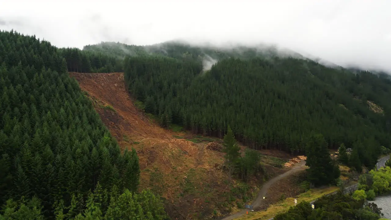 Deforestation land plot in New Zealand Nelson area aerial orbit view