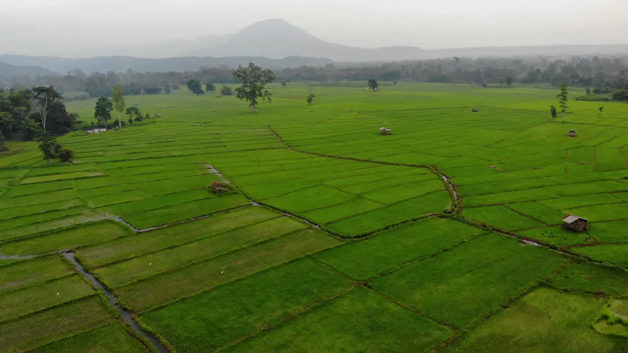 Wide Aerial Shot moving forwards over fields at Salavan Province Laos