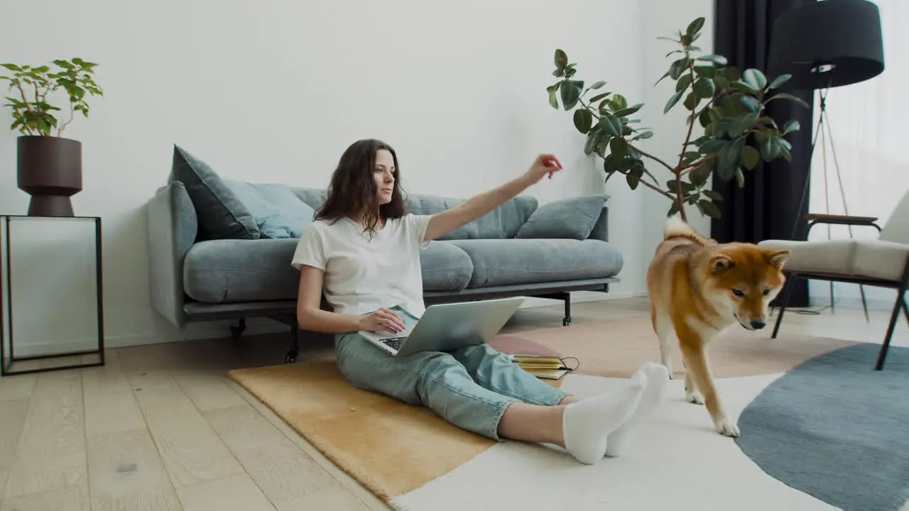 Beautiful Young Female Feeds Her Dog While Working On Her Laptop At Home