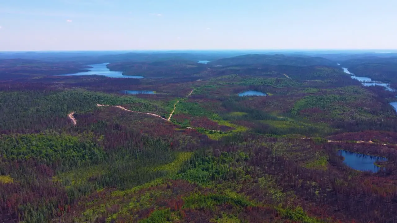 helicopter view of thousands of acres of scorched forest land following a bad wildfire year in Canada