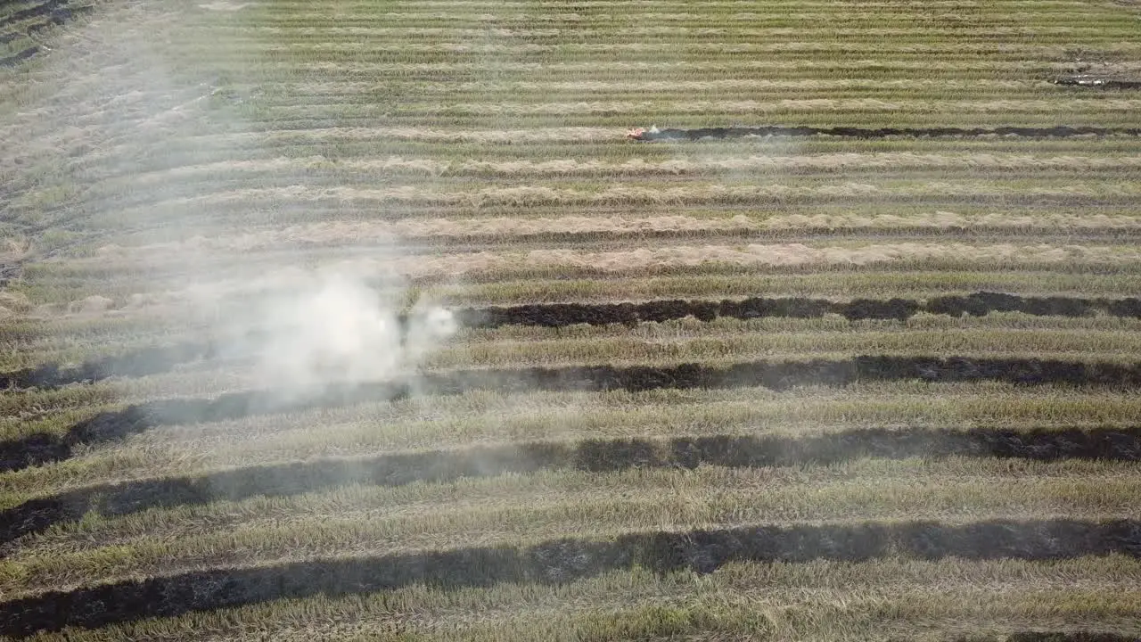 Open fire in paddy field at Malaysia