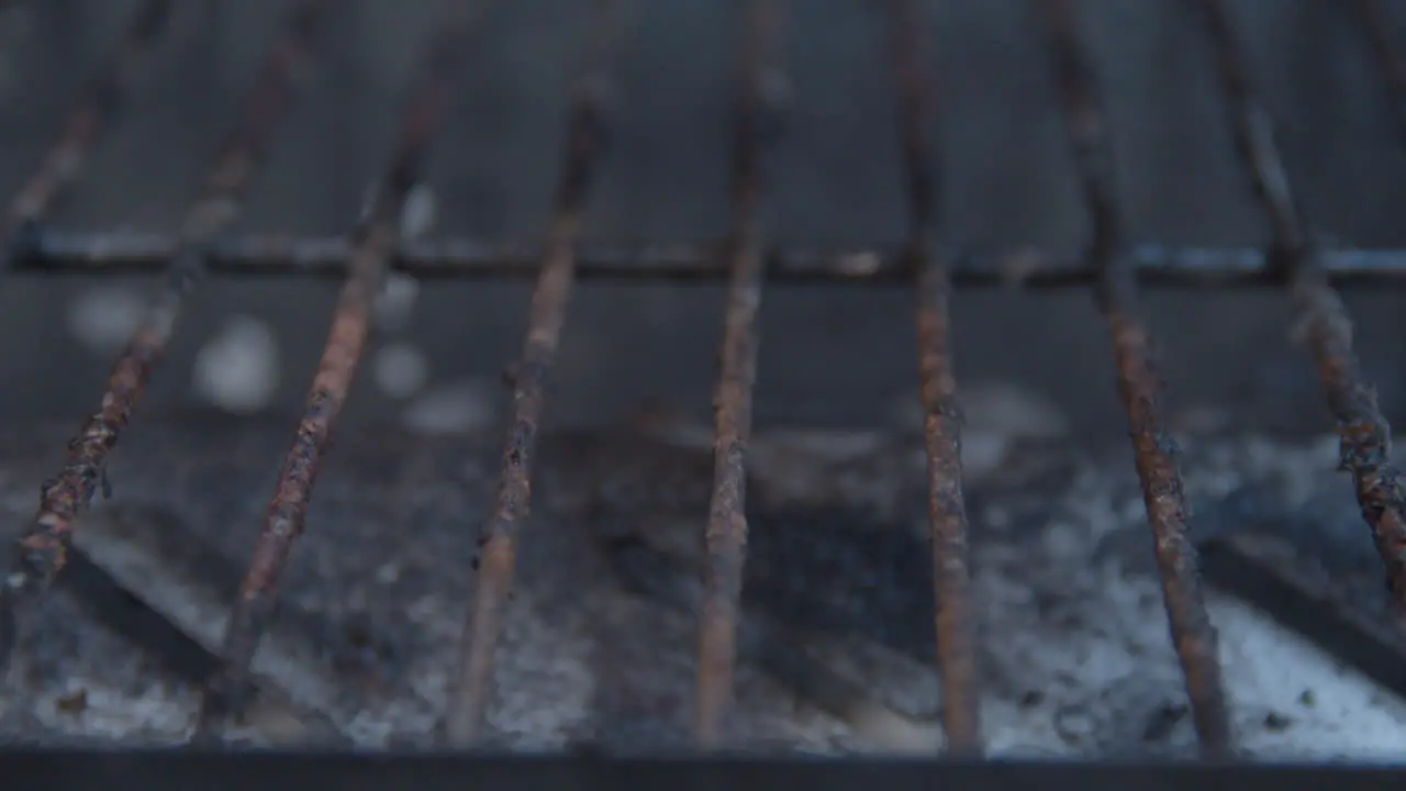 Scrubbing barbecue roster with a steel brush extreme close