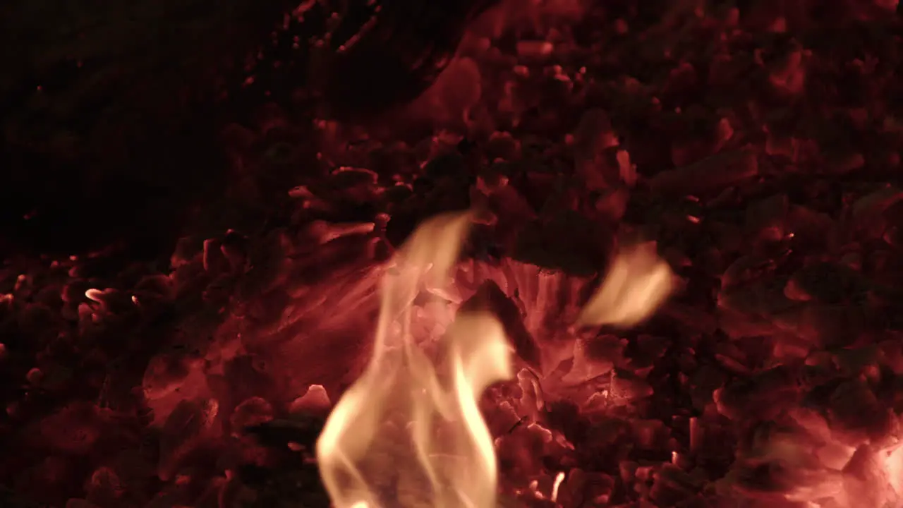 Close up of smoldering embers in a campfire