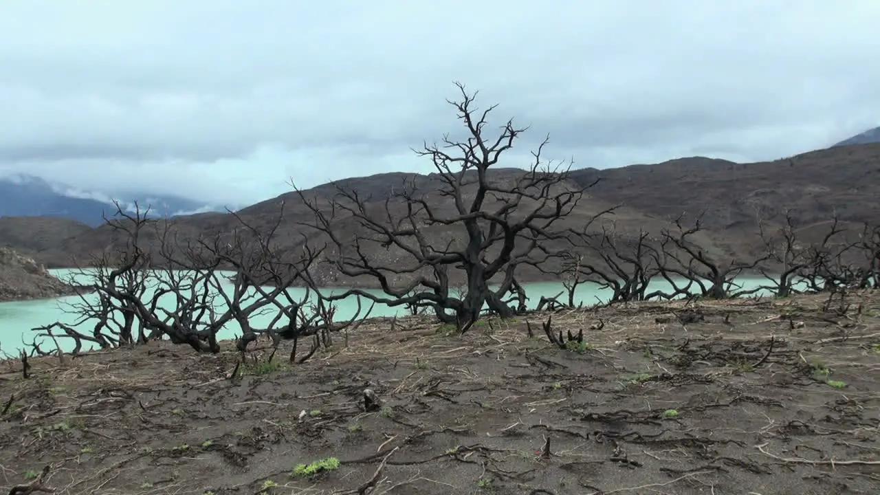 Chile Torres del Paine burn 1s