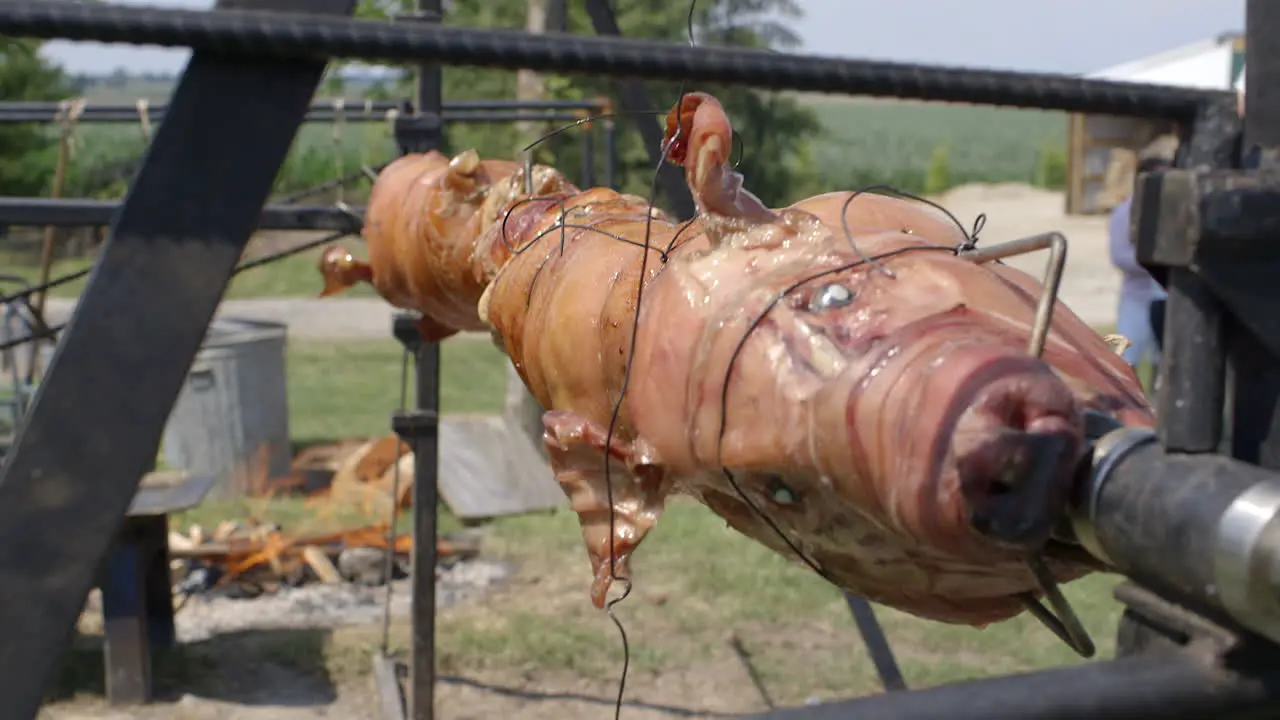 wood burning fire camera tilts up to reveal a whole pig turning and roasting