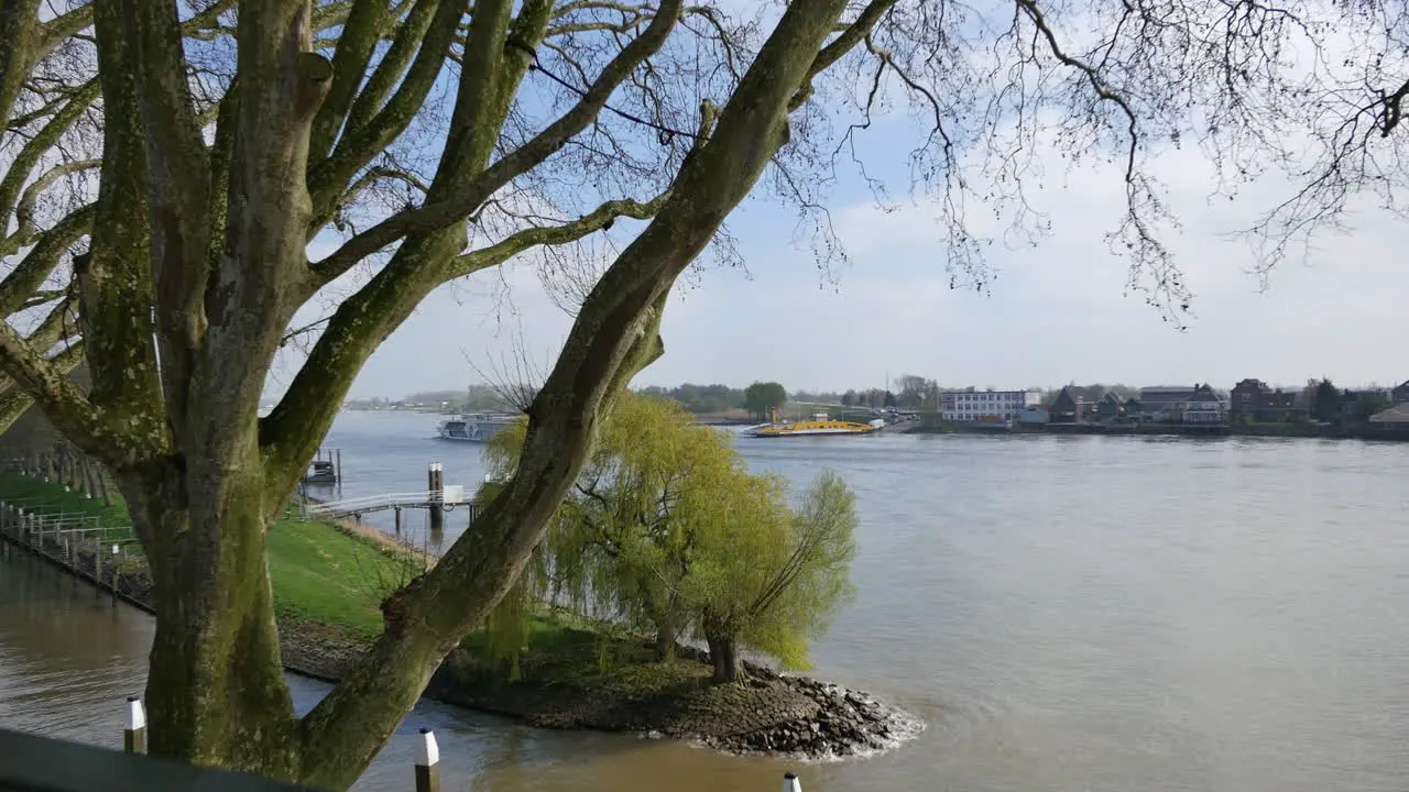 Netherlands Plane Trees And River Lek