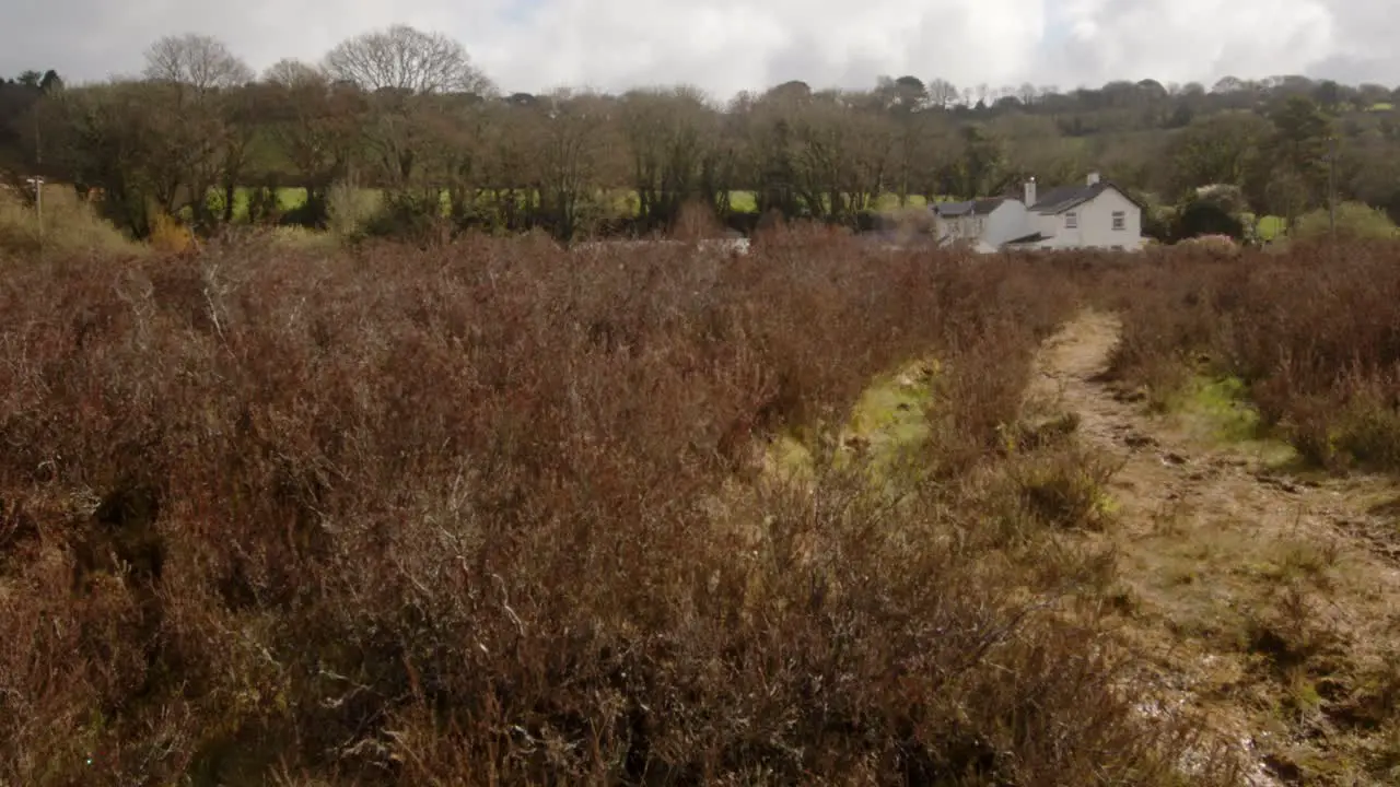 Wide shot of Carnon valley with house in background