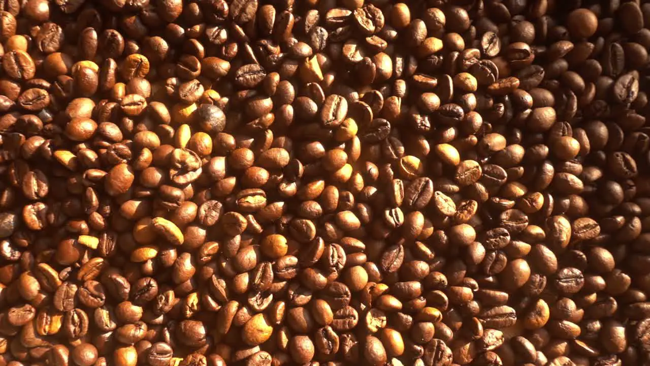 Close up of seeds of coffee