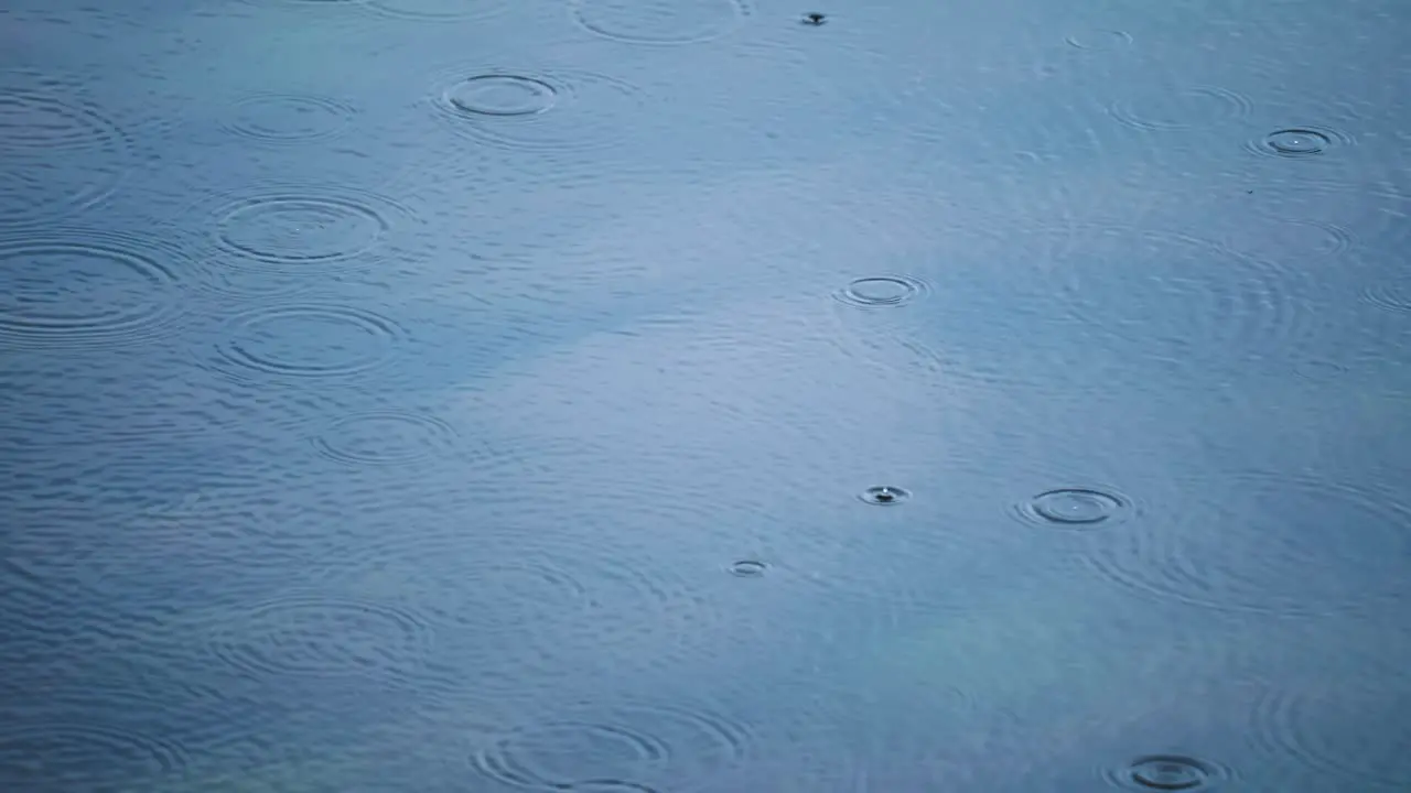 Raindrops bouncing on the surface of the water sending ripples