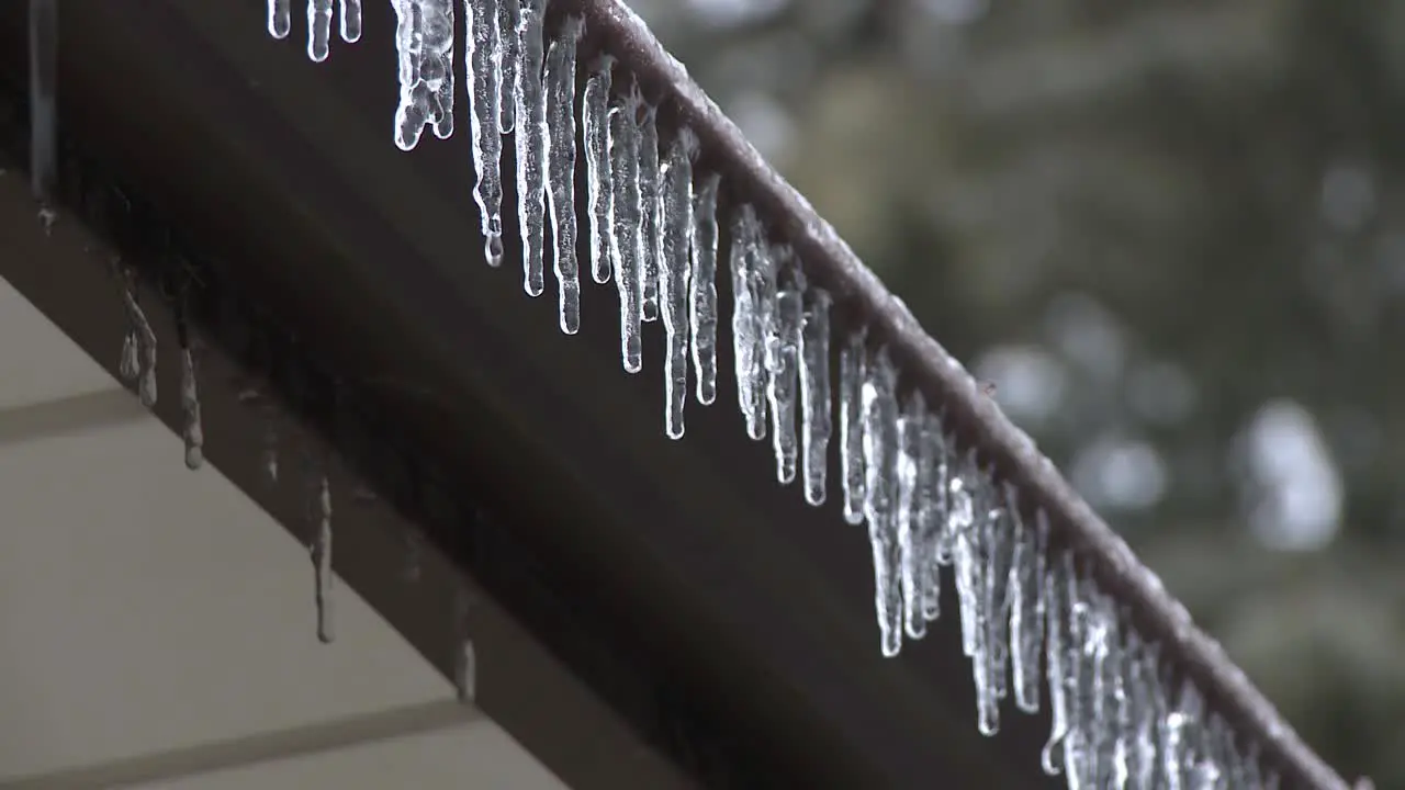 Melting icicles on house eaves trough