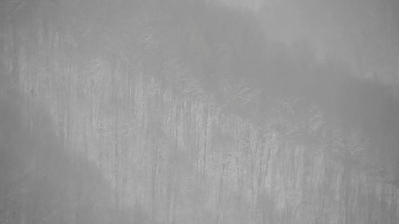 Snowing over trees with a forest in the background filmed from distant place high zoom video winter day