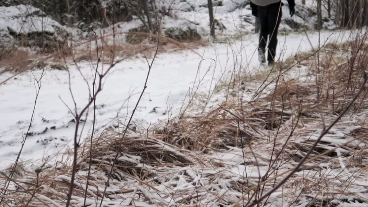 mysterious hiker passing by in a forest path covered in snow