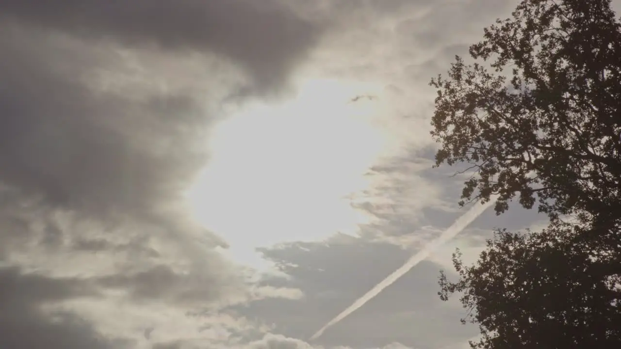 A bright shining sun breaking through dark clouds with a bird flying in front of it