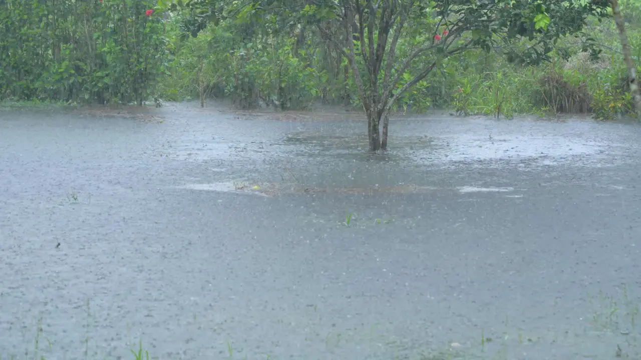 Heavy rain over a lake in Joya de los Sachas Ecuador South America