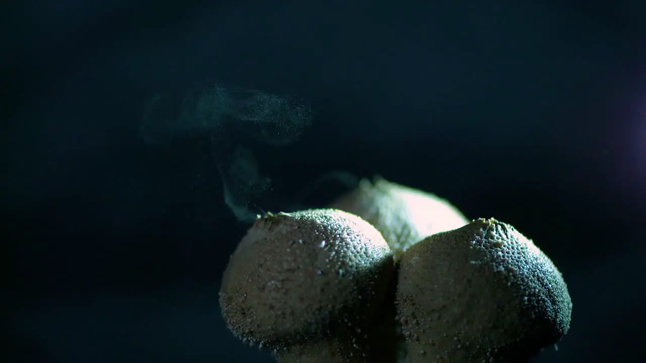 Beautiful clip of a water droplet causing a puffball mushroom to explode its spores Common puffball Lycoperdon perlatum