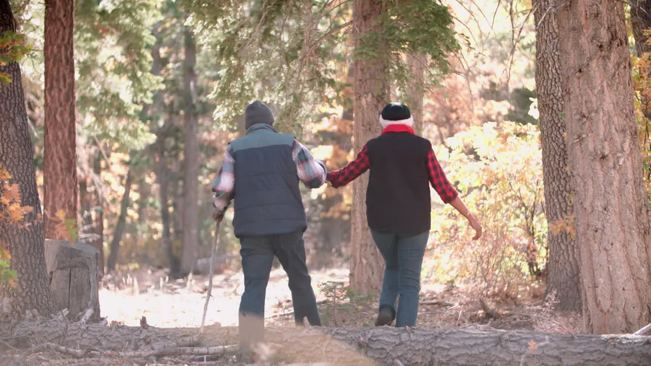 Senior black couple hiking in a forest back view