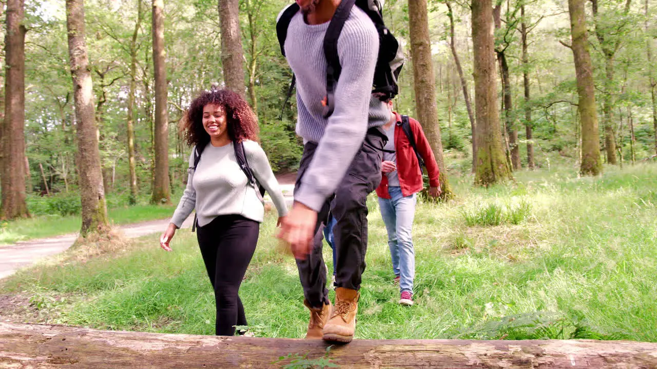 A multi ethnic group of five young adult friends stepping over a fallen tree in a forest during a hike