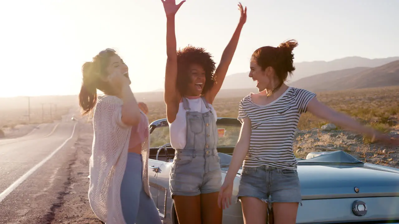 Girlfriends having a fun break on their road trip close up