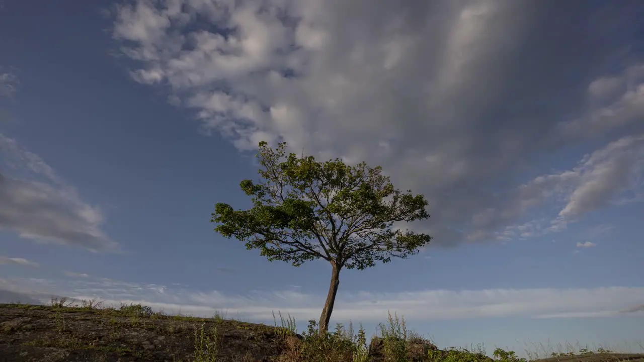 Dramatic time lapse video of clouds moving over alone tree