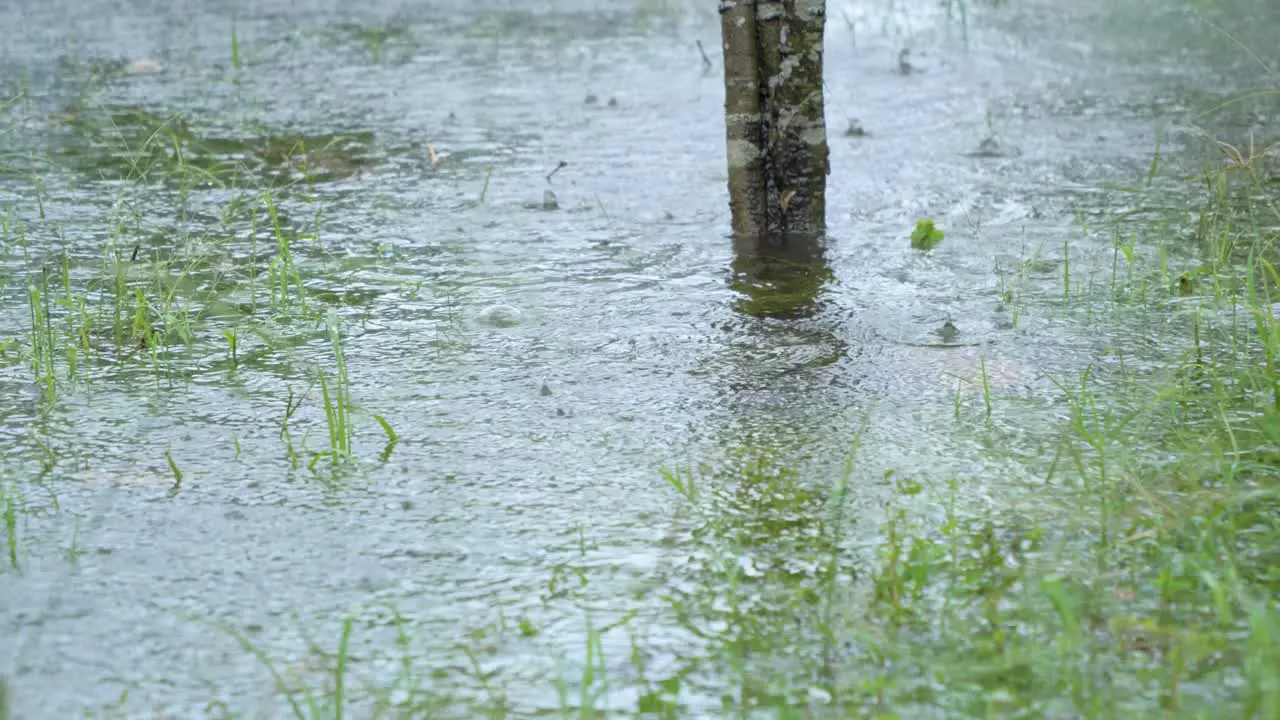 Right to left motion video of ran drops falling on the surface of a lake during a tropical storm in Ecuador South America