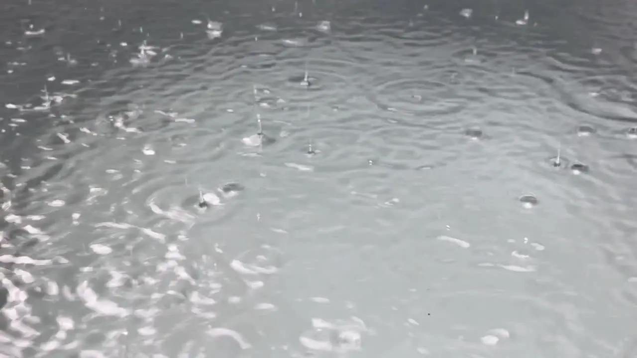 close up of rain drops falling into big puddle pond of water