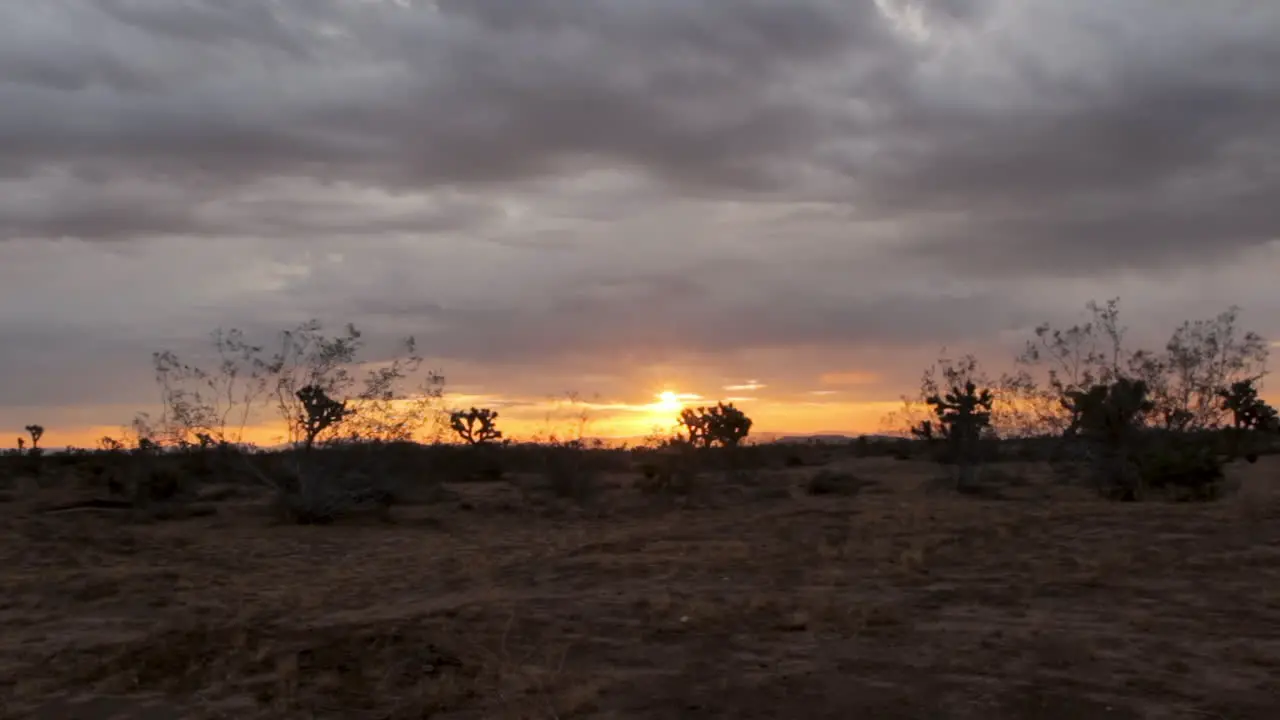 sun rise-sun set in the desert