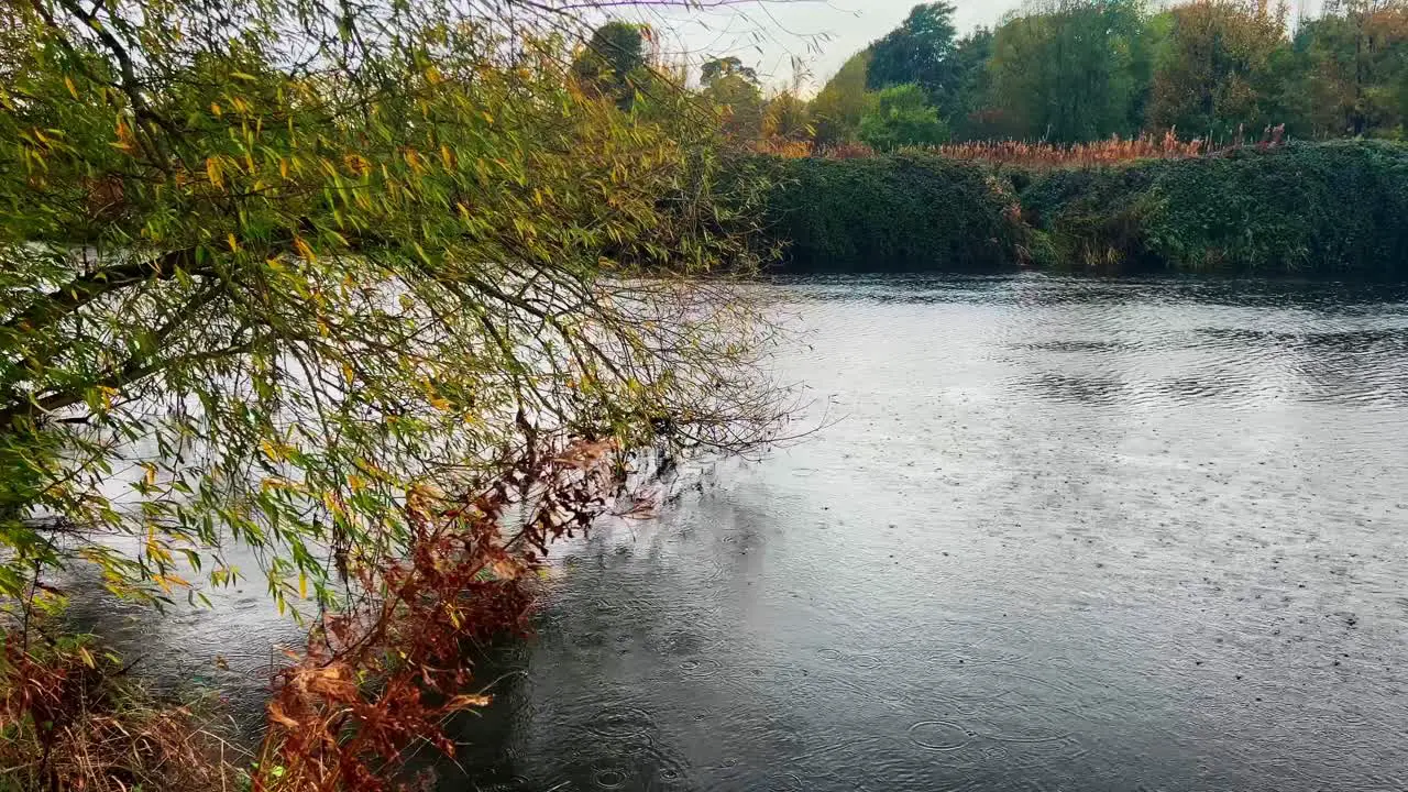 Riverbank and river footage shot in the rain with trees and slow moving water