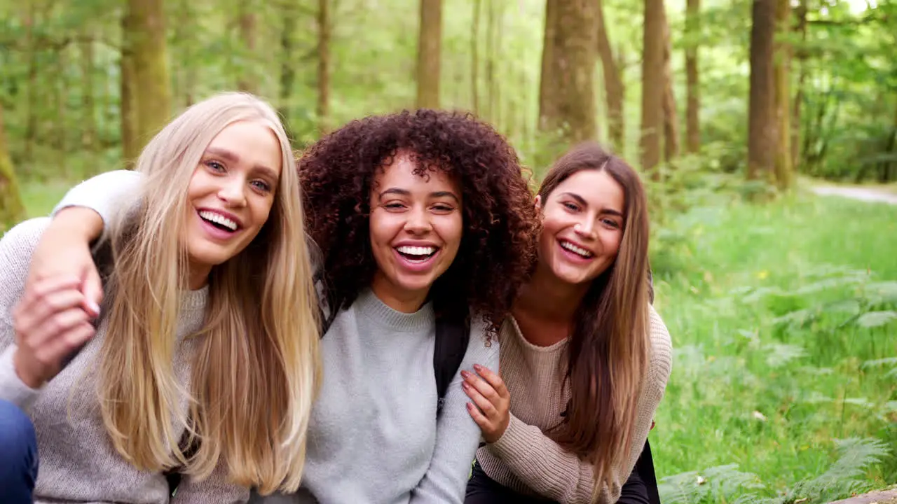 Three young adult women smile and embrace while taking a break sitting in a forest during a hike handheld