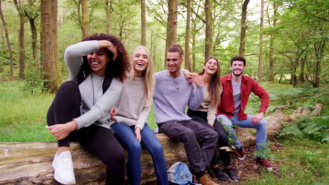 Five happy young adult friends sitting on a fallen tree in a forest taking a break during a hike handheld