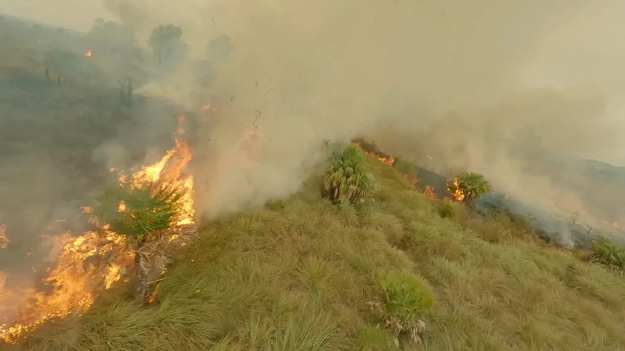 big farmland fire agriculture cultivation FPV drone flying through flames and smoke clouds fire line 4k fertile soil