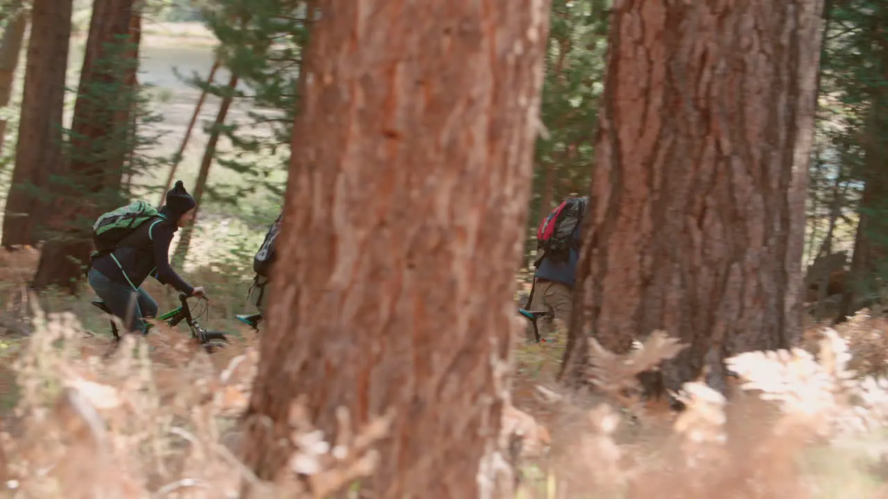 Four friends talk and cycle on a forest path side view