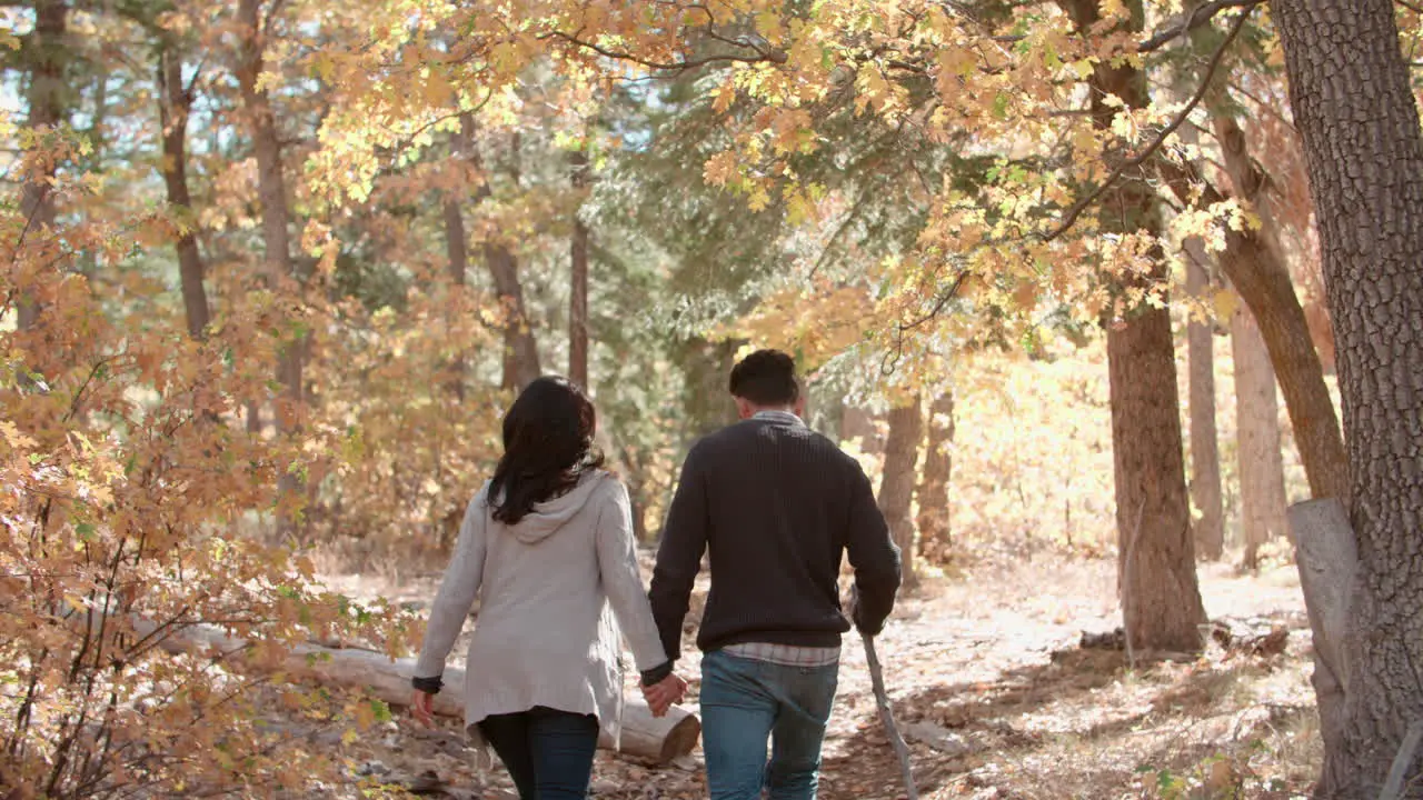 Hispanic couple hold hands walking in a forest back view