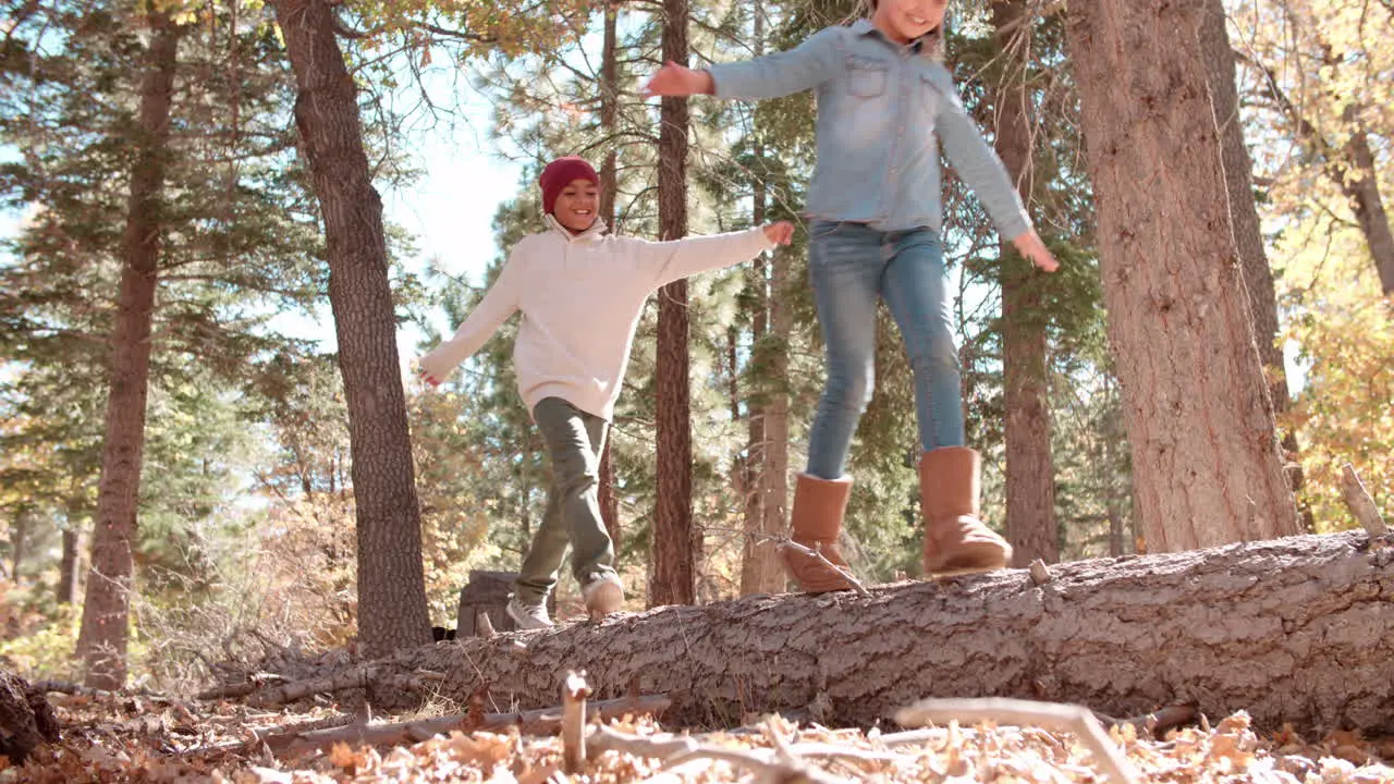 Three kids balancing on a fallen tree in a forest