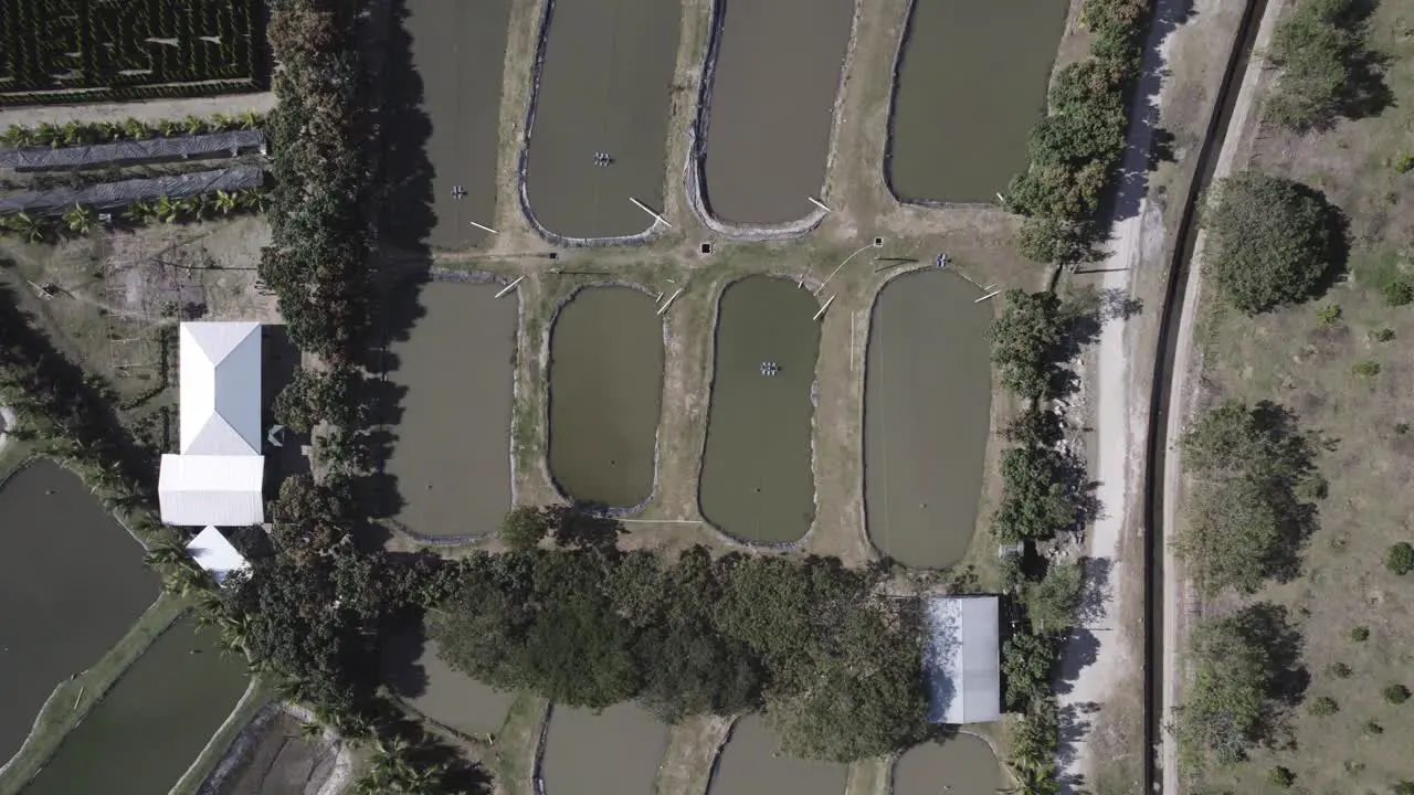 fish pond for fishing overhead view