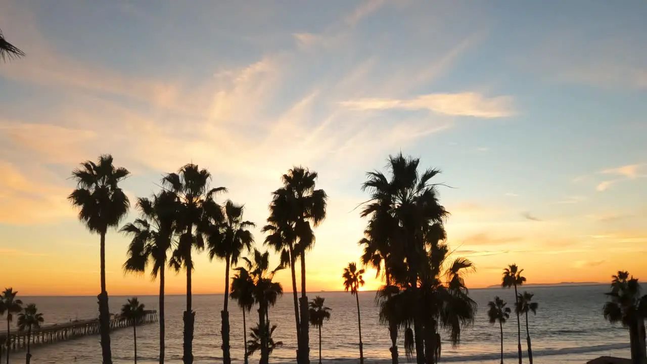 Picturesque California Sunset with Palm Tree Silhouettes Aerial