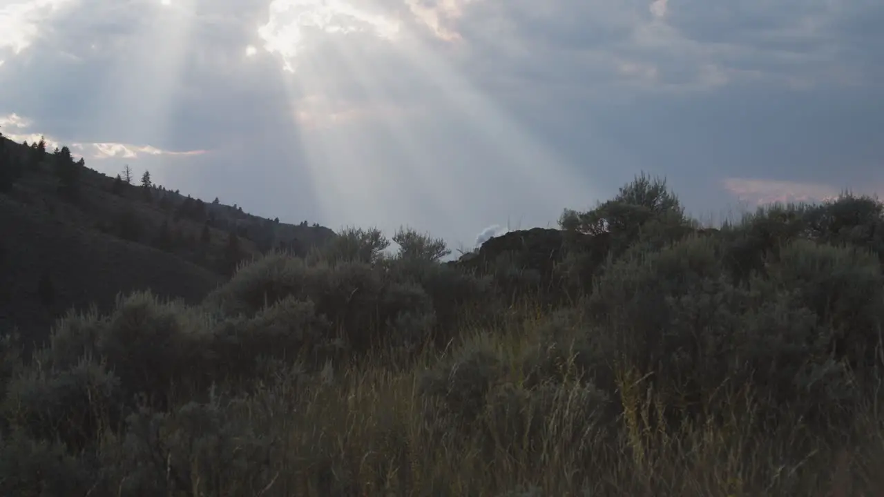 Sunbeams and Sagebrush Kamloops British Columbia